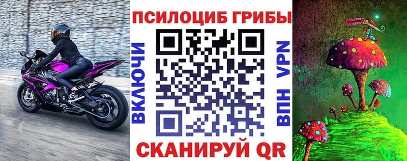 наркота  Кяхта  Псилоцибиновые грибы прущие грибы 